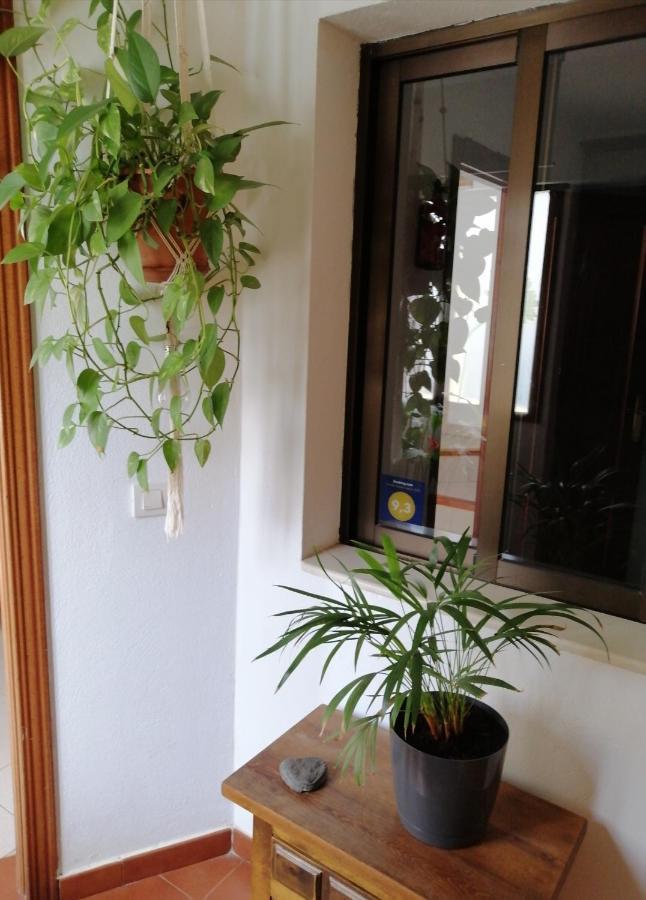 Casa Amaia Villa Arrecife  Eksteriør billede
